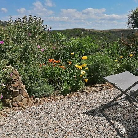 Gite Cote Nature Cabrerolles Exterior foto