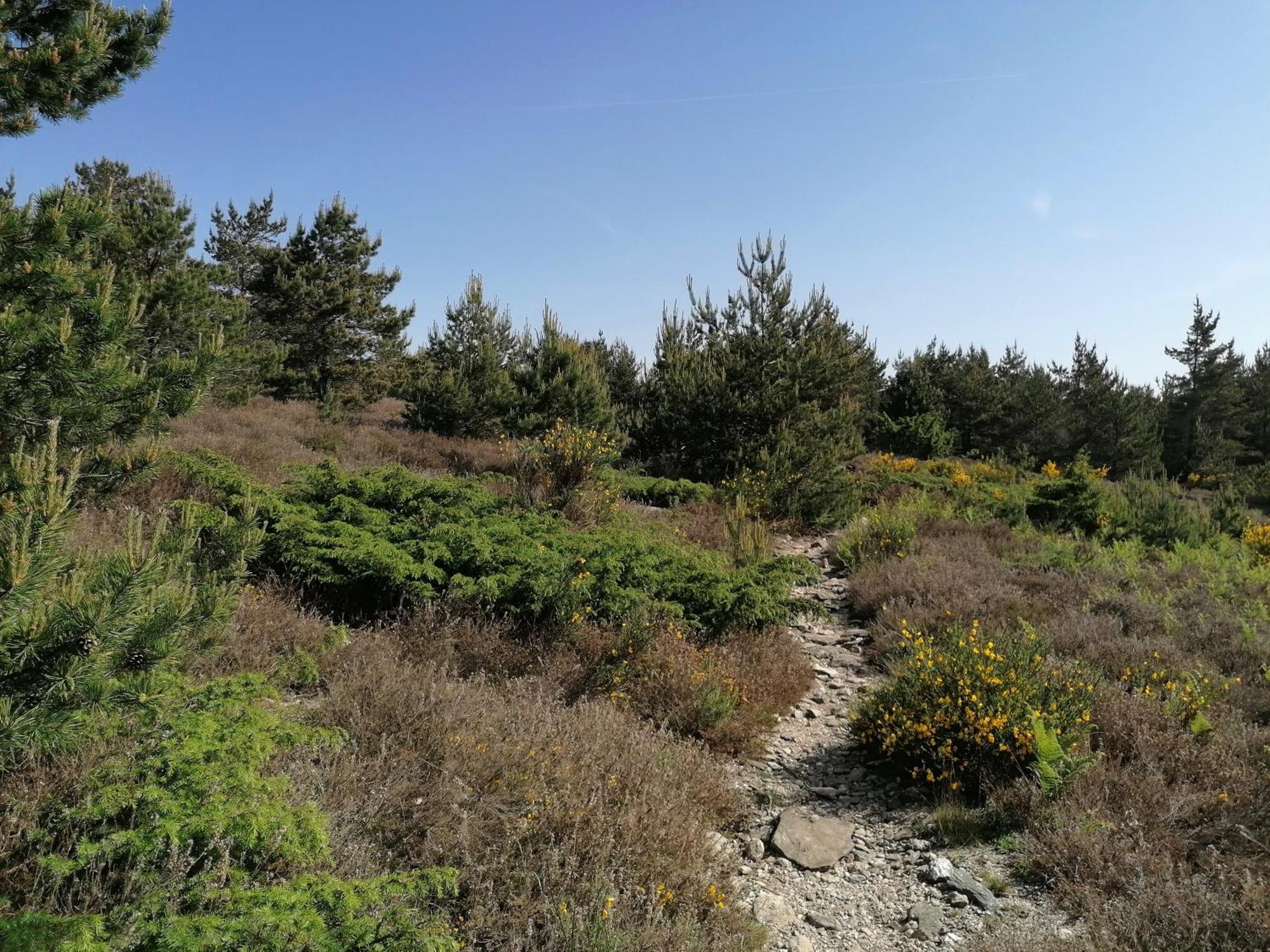 Gite Cote Nature Cabrerolles Exterior foto